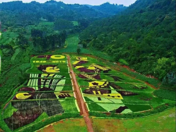 農(nóng)村人居環(huán)境整治村莊清潔行動方案