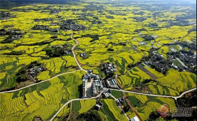 農(nóng)村人居環(huán)境整治村莊清潔行動方案