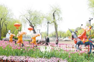 大觀公園美景怡人。記者楊艷輝攝