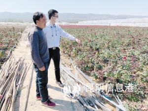 現(xiàn)場調(diào)查花農(nóng)受災情況