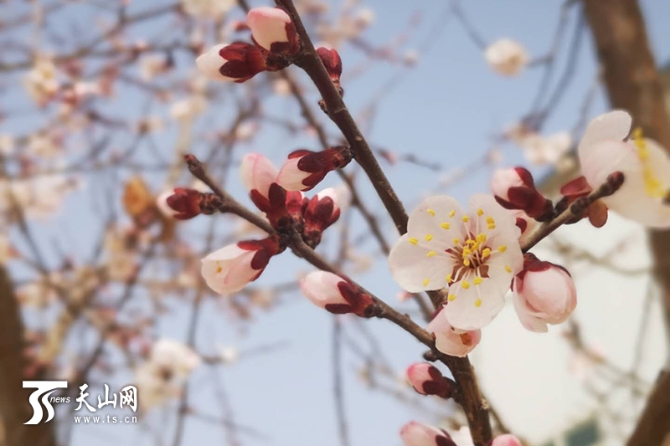 00351590958_16e76e0f 00351590958_16e76e0f