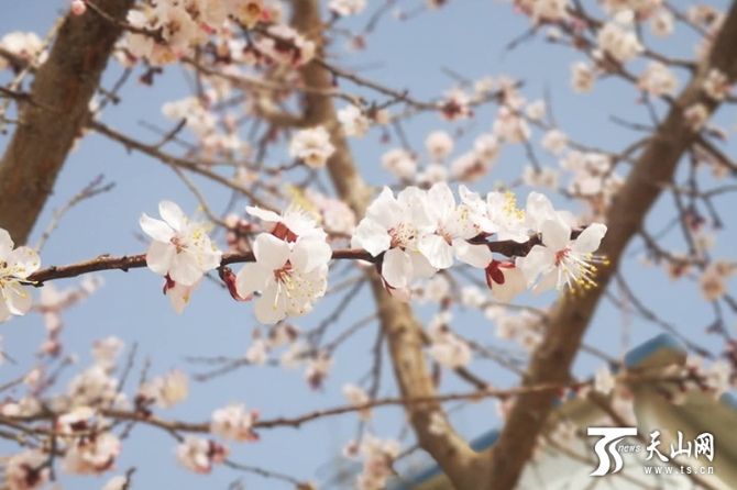 00351590963_df9e94c8 00351590963_df9e94c8