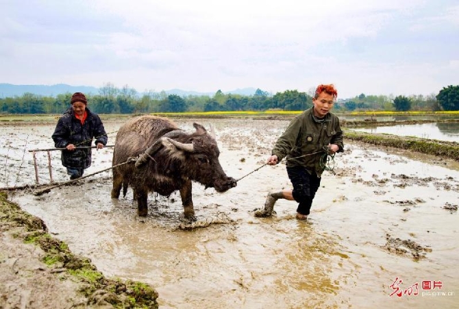 今日春分:春耕正當時 莫負好時光 今日春分:春耕正當時 莫負好時光
