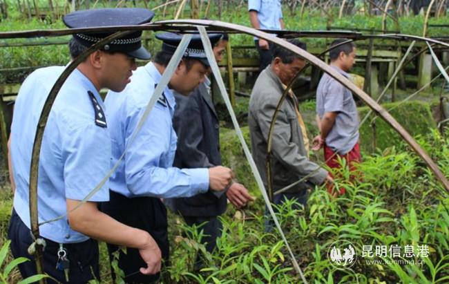 0321_2 (1) 0321_2 (1)