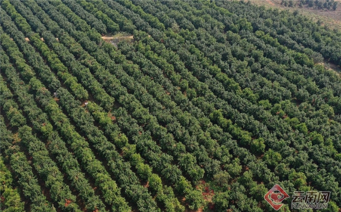 00301551221_4a11bd33