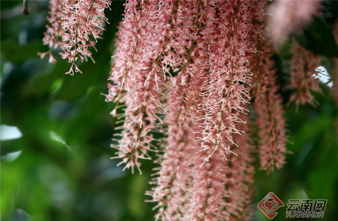 00301551223_3bbc5d6d