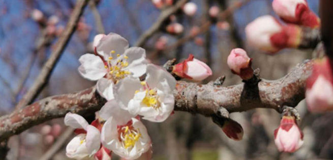 005056b84fd91fde7d613e 005056b84fd91fde7d613e