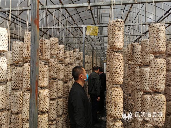 微信圖片_20200323100446 微信圖片_20200323100446