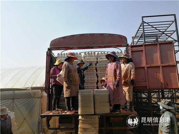 微信圖片_20200323100504 微信圖片_20200323100504