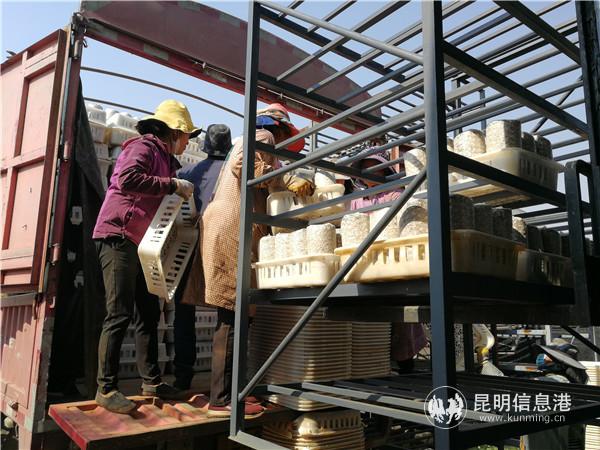 微信圖片_20200323100509 微信圖片_20200323100509