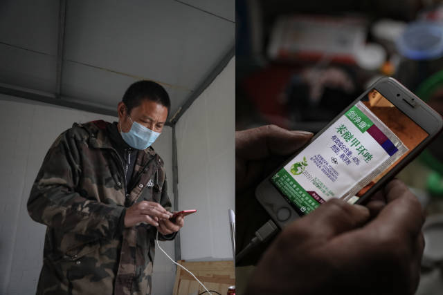 擔心花卉出現(xiàn)“白粉病”，陸成權(quán)在微信上向一位老師傅討教。