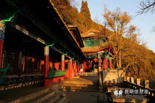 微信圖片_20200323222912 微信圖片_20200323222912