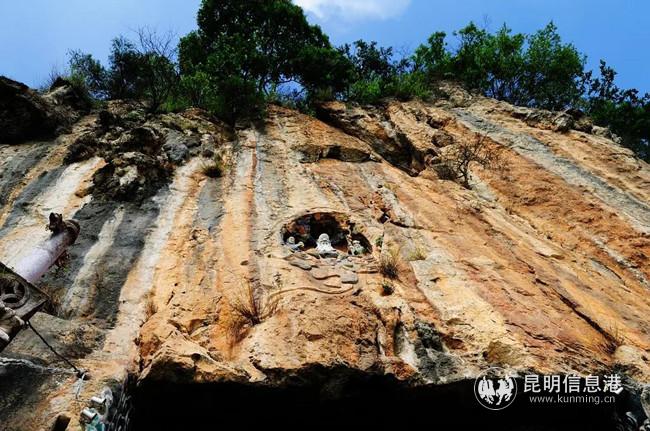 微信圖片_20200323222915 微信圖片_20200323222915