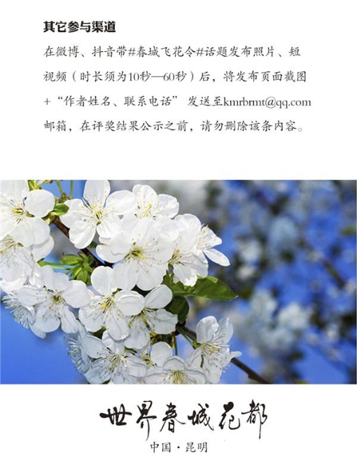 春城飛花令01_06 春城飛花令01_06