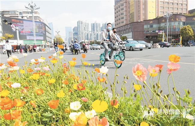 ZHW_89603- ZHW_89603-