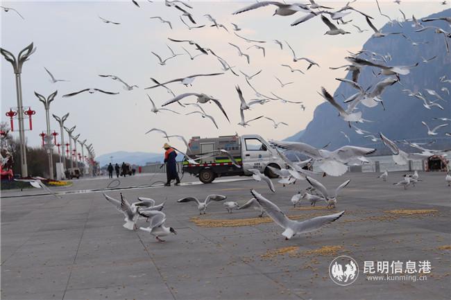 微信圖片_20200324141916 微信圖片_20200324141916