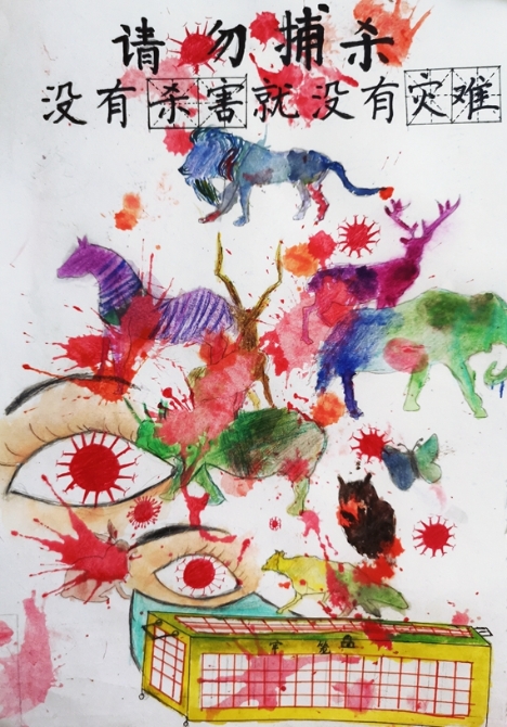 《請(qǐng)勿捕殺》 邱世然  重慶高新區(qū)第一實(shí)驗(yàn)小學(xué)供圖 華龍網(wǎng)發(fā)