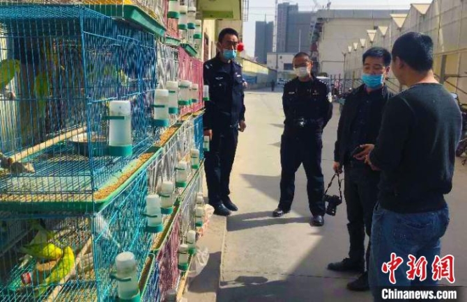 新疆阿克蘇查獲3起涉嫌違法經(jīng)營野生動物案