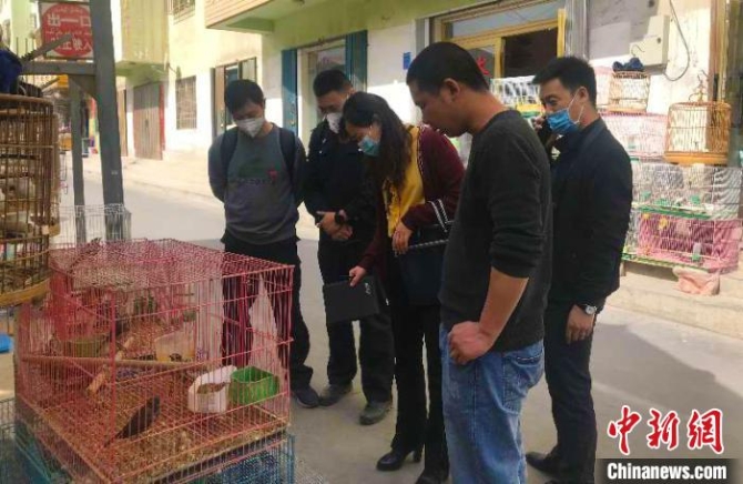阿克蘇地區(qū)查獲3起涉嫌違法經(jīng)營野生動物案?！∨酥景?攝