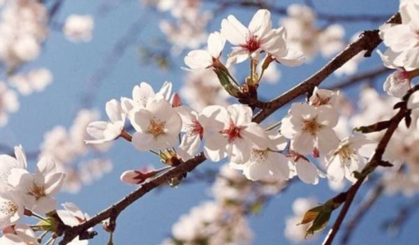 00301558866_bc3f6d64 00301558866_bc3f6d64