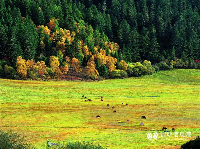 普達(dá)措風(fēng)光。迪慶州文旅局供圖1