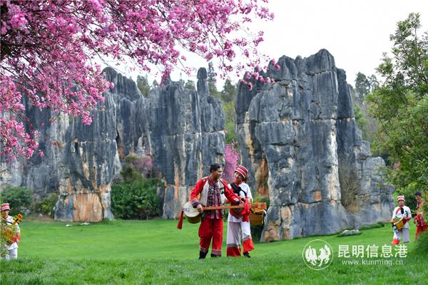 春日的石林風景區(qū)風景秀麗（資料圖）。李昆攝