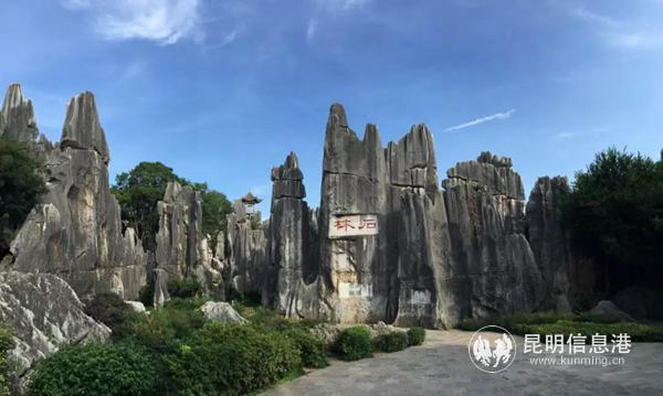 石林景區(qū)3月26日恢復(fù)開放 石林景區(qū)3月26日恢復(fù)開放