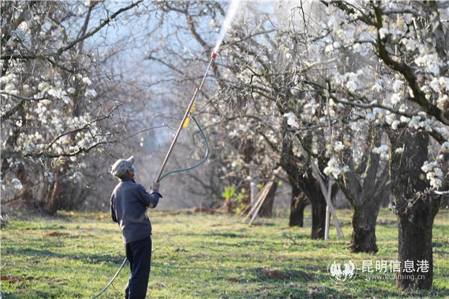 春華秋實 春華秋實