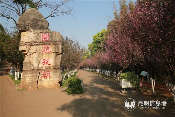 QQ圖片20200326143133