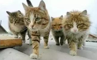 1210531108_15851957379461n