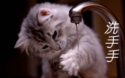 1210531108_15851959079441n