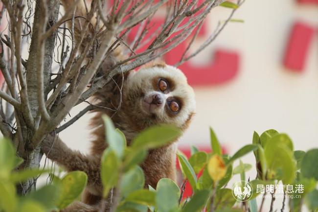 a04376f7094555666b4f4bd0304a5b9 a04376f7094555666b4f4bd0304a5b9