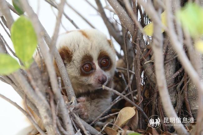 df16ed9ed28de231557d7da8d1a9e3b df16ed9ed28de231557d7da8d1a9e3b