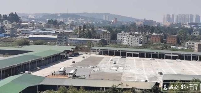 阿拉社會(huì)違建