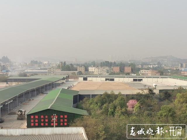 阿拉社會(huì)違建