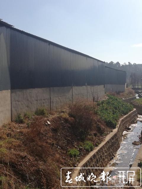 阿拉社會(huì)違建