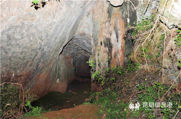 微信圖片_20200327110344 微信圖片_20200327110344