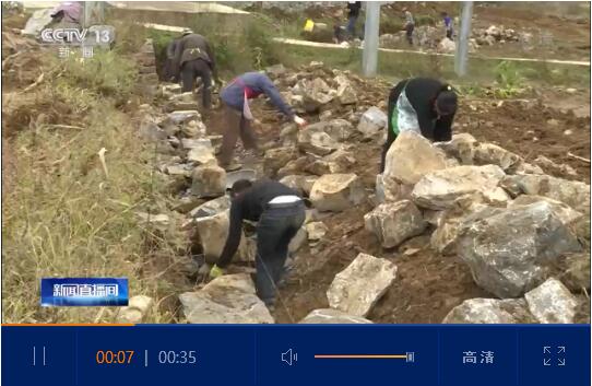 QQ截圖20200327114726 QQ截圖20200327114726