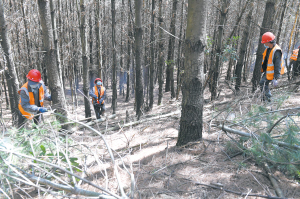 46951585326918841 46951585326918841