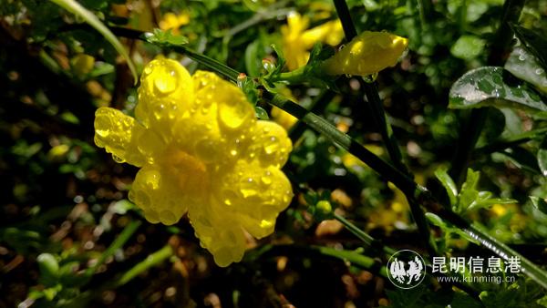 1191442781 1191442781