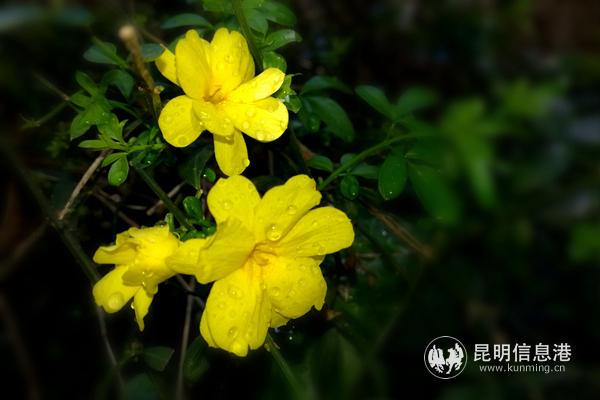 1264913606 1264913606