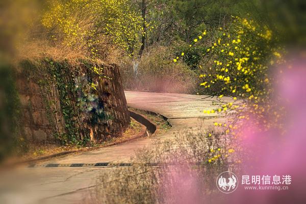 1351194339 1351194339