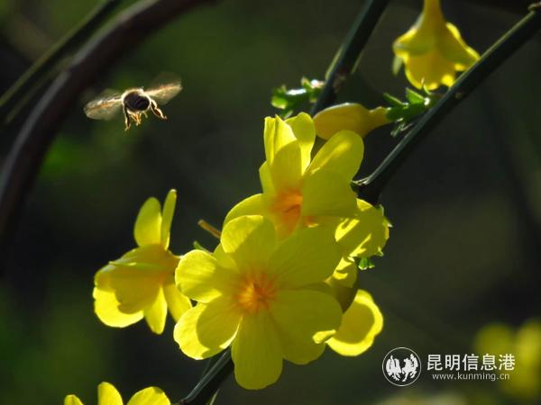 1495022962 1495022962