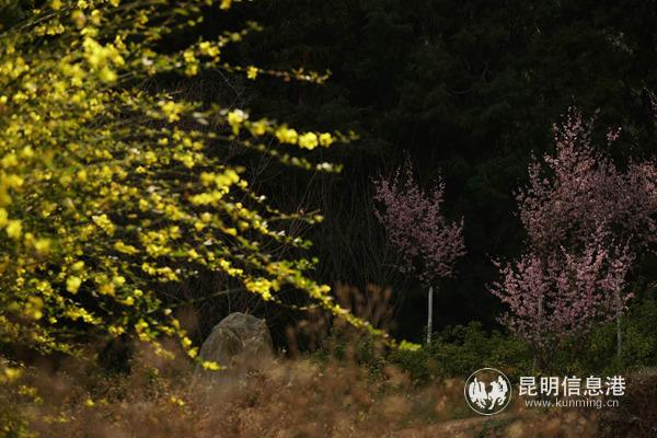 1789026459 1789026459