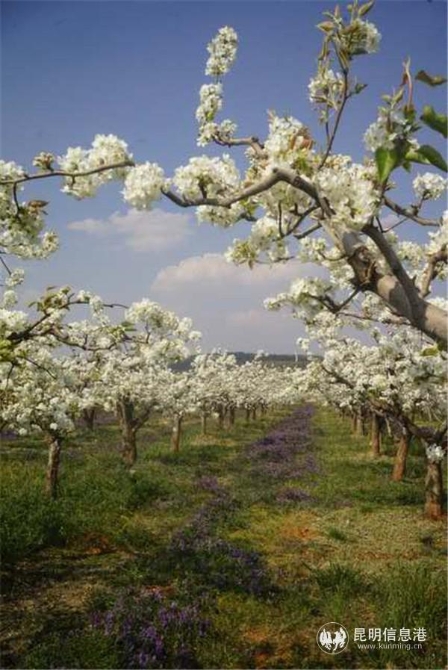 微信圖片_20200329114145 微信圖片_20200329114145