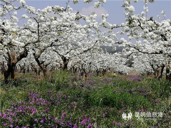 微信圖片_20200329114206 微信圖片_20200329114206