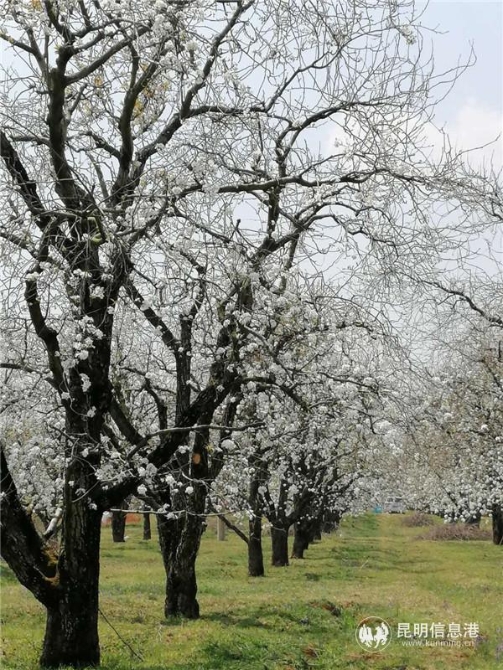 微信圖片_20200329114223 微信圖片_20200329114223