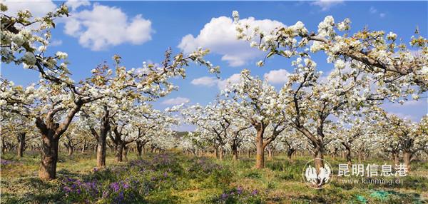 微信圖片_20200329120456 微信圖片_20200329120456