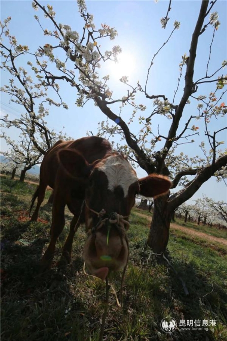 微信圖片_20200329121012 微信圖片_20200329121012