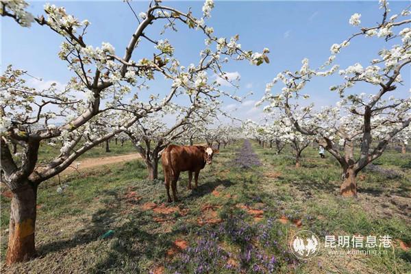 微信圖片_20200329121035 微信圖片_20200329121035